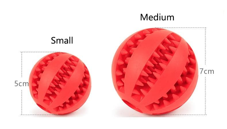 Chihuahua Bite Resistant Chew Toy - Chihuahua We Love