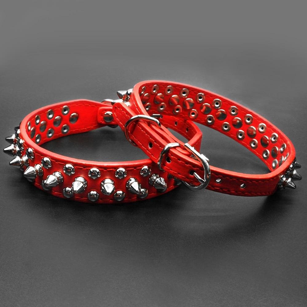 Spiked Leather Chihuahua Collar - Chihuahua We Love