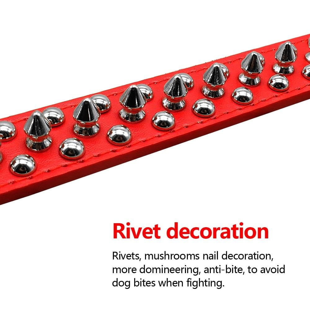 Spiked Leather Chihuahua Collar - Chihuahua We Love