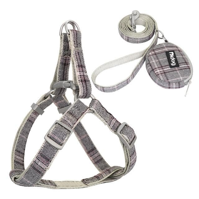 Adjustable Harness and Leash - Chihuahua We Love