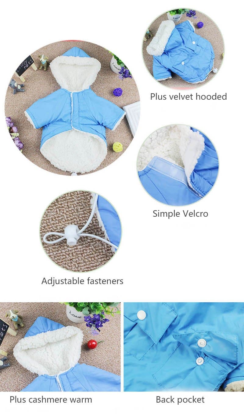 Winter Dog Parka - Chihuahua We Love