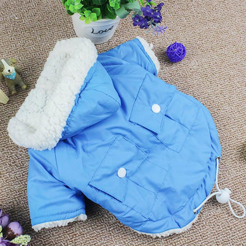 Winter Dog Parka - Chihuahua We Love