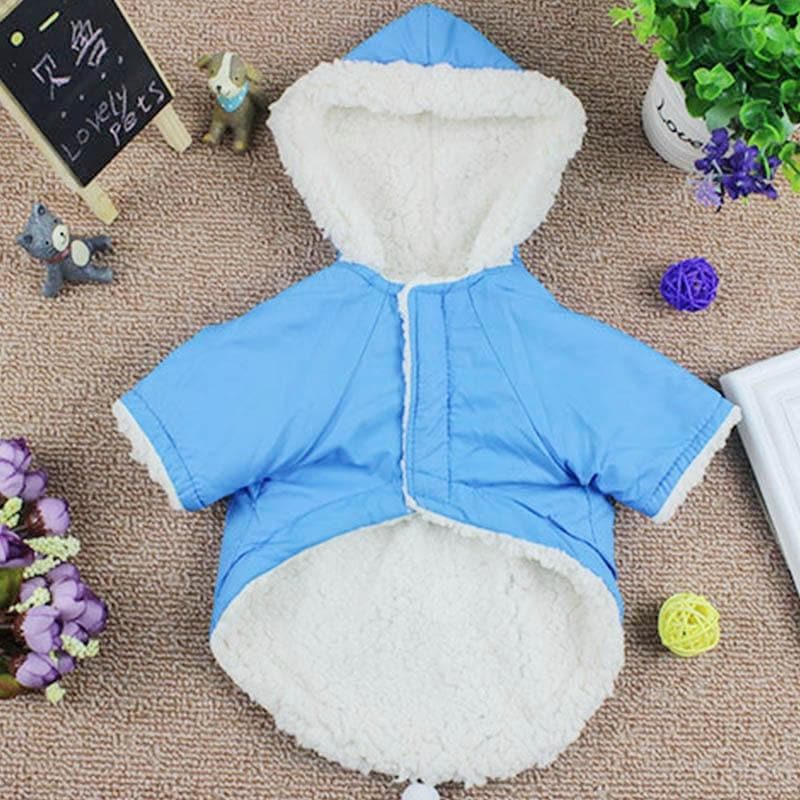 Winter Dog Parka - Chihuahua We Love