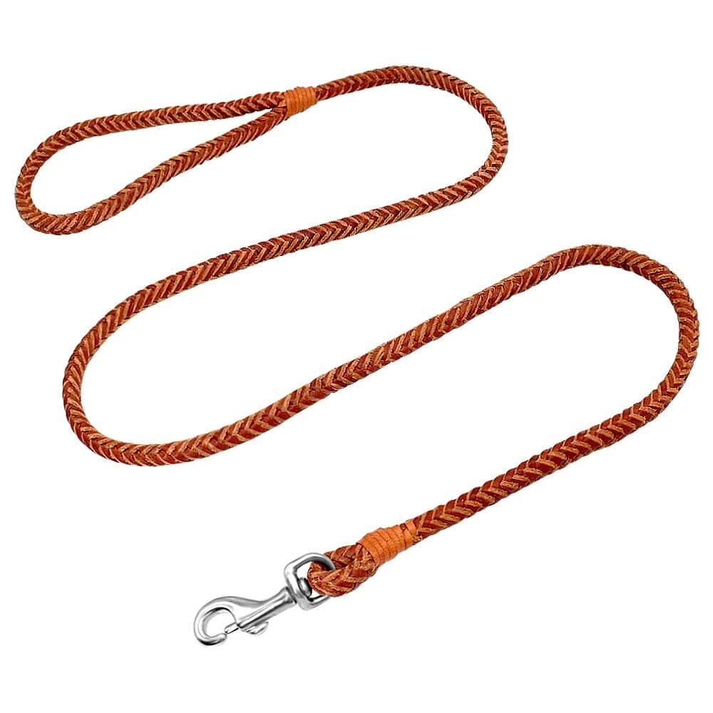 Rolled Leather Leash 4ft Long - Chihuahua We Love
