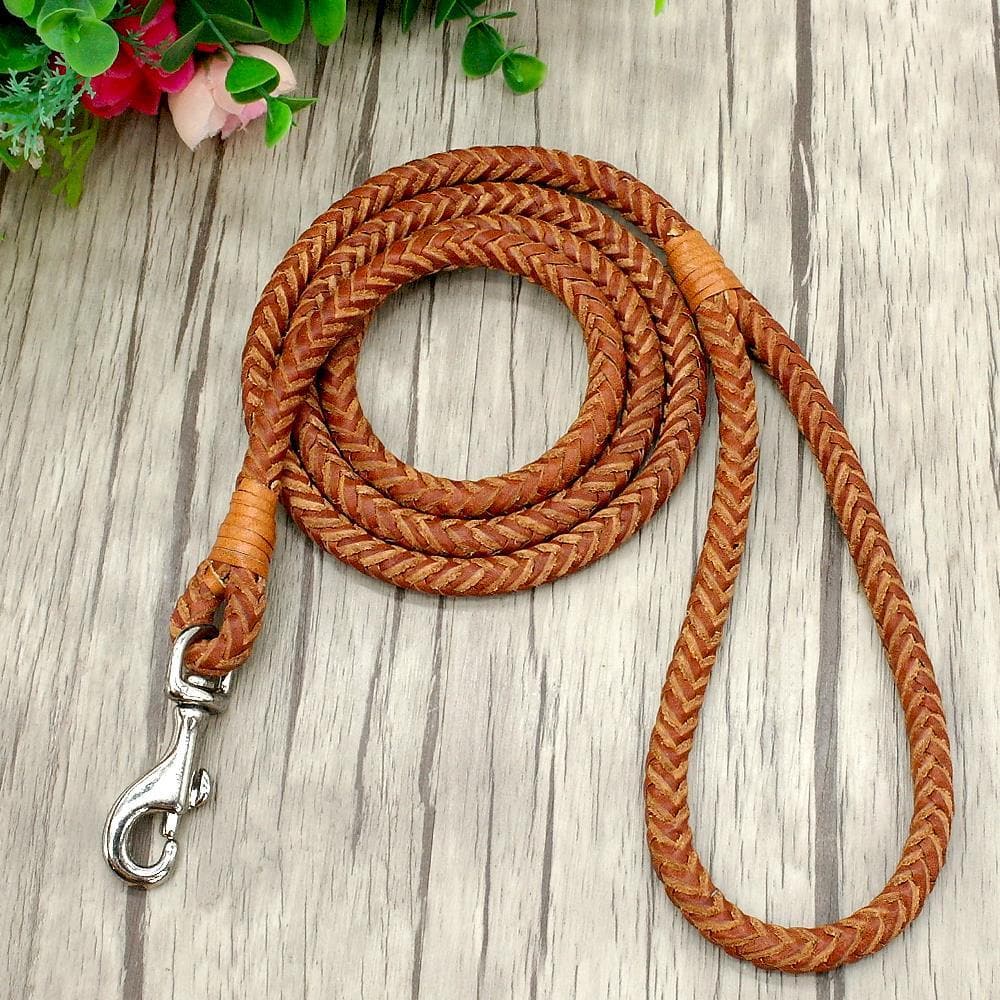 Rolled Leather Leash 4ft Long - Chihuahua We Love