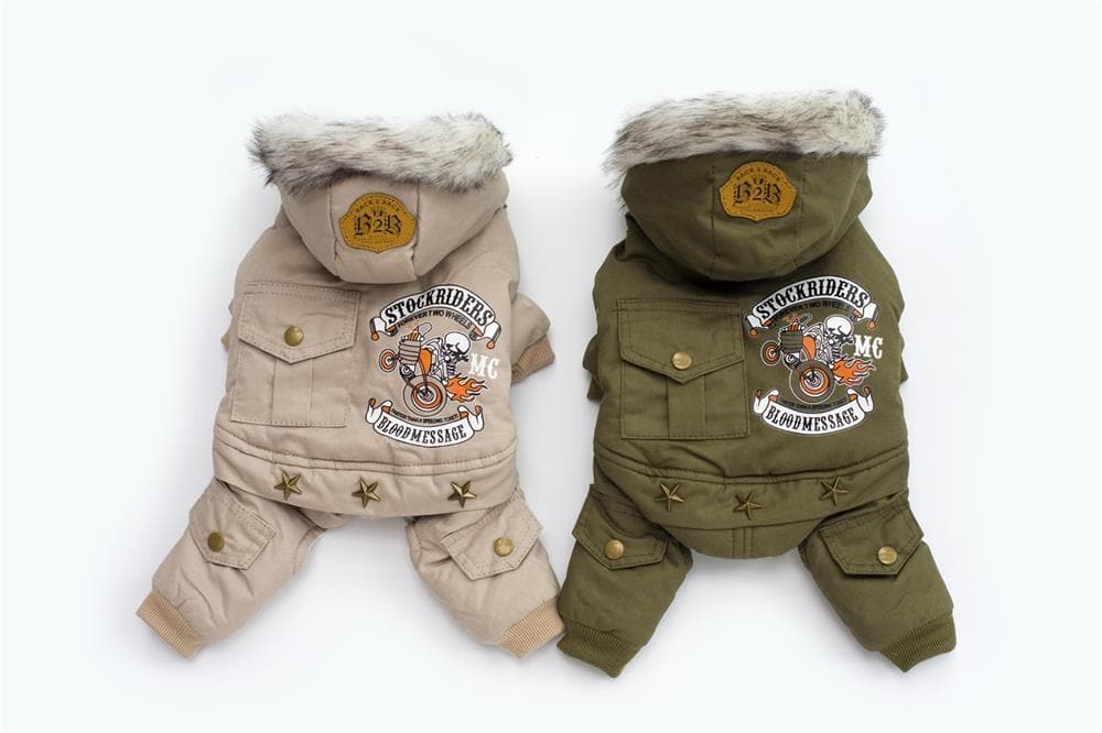 Warm Chihuahua Jacket - Chihuahua We Love