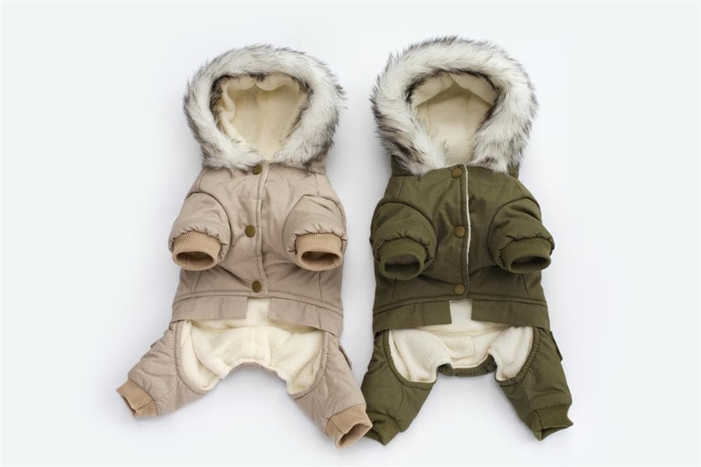 Warm Chihuahua Jacket - Chihuahua We Love
