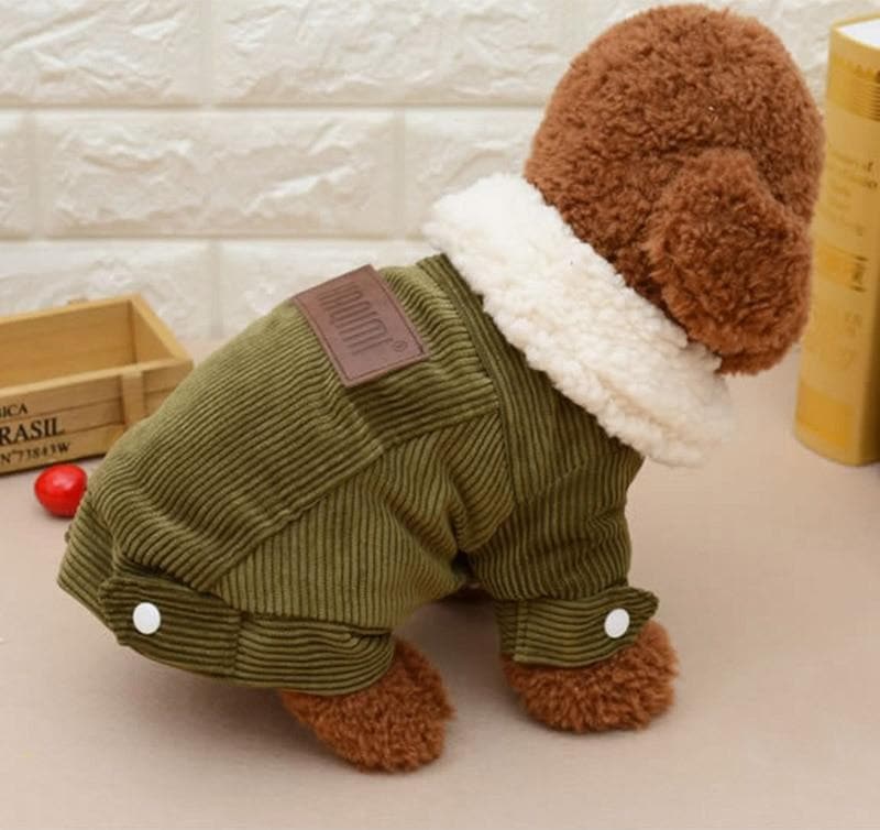 Pink Winter Corduroy Coat - Chihuahua We Love
