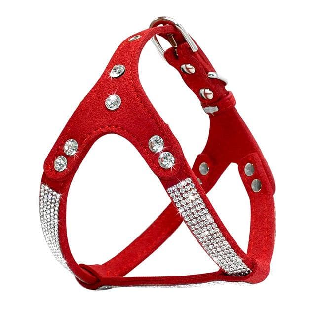 Rhinestone Adjustable Harness - Chihuahua We Love