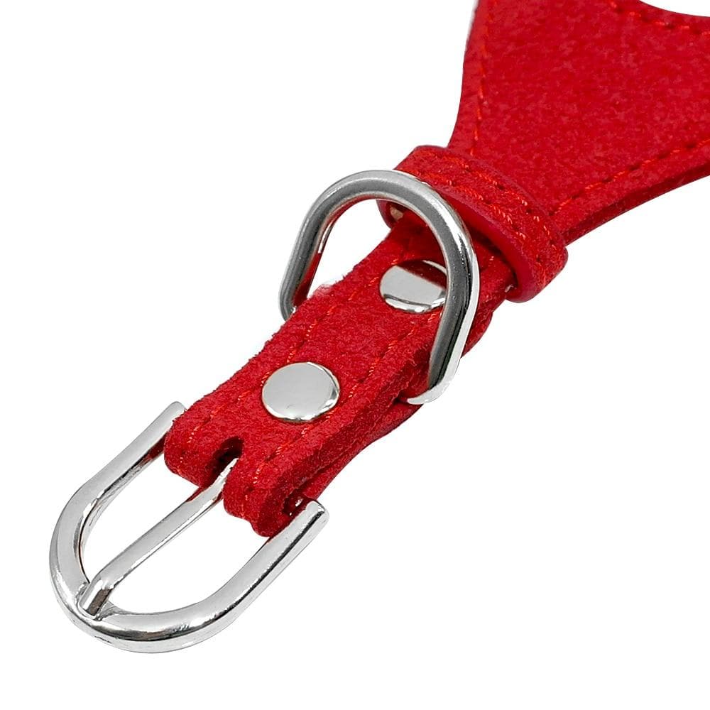 Rhinestone Adjustable Harness - Chihuahua We Love