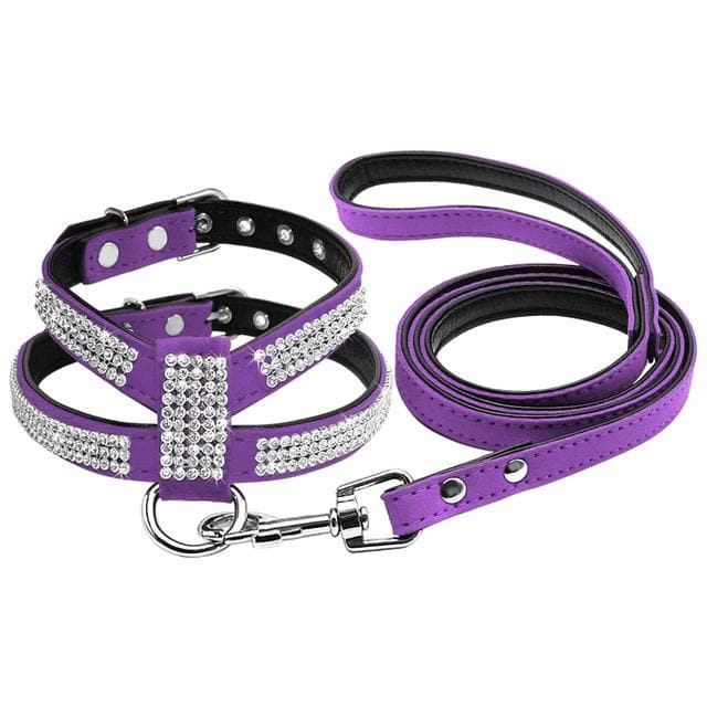Chihuahua Rhinestone Harness & Leash - Chihuahua We Love