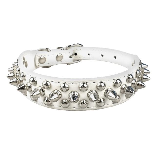 Spiked Leather Chihuahua Collar - Chihuahua We Love