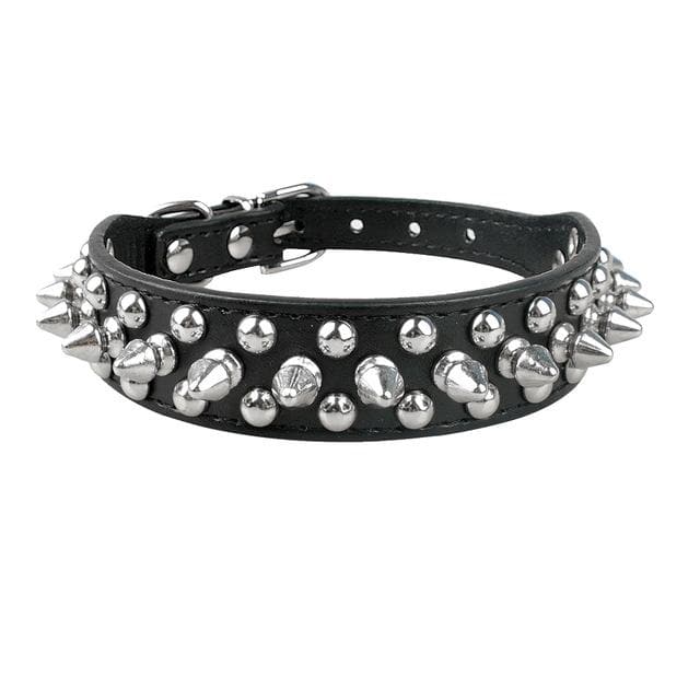 Spiked Leather Chihuahua Collar - Chihuahua We Love