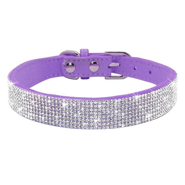 Unique Rhinestone Collar / Leash for Chihuahuas - Chihuahua We Love