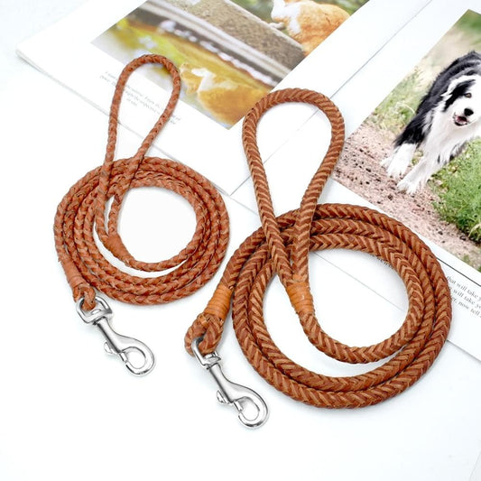 Rolled Leather Leash 4ft Long - Chihuahua We Love
