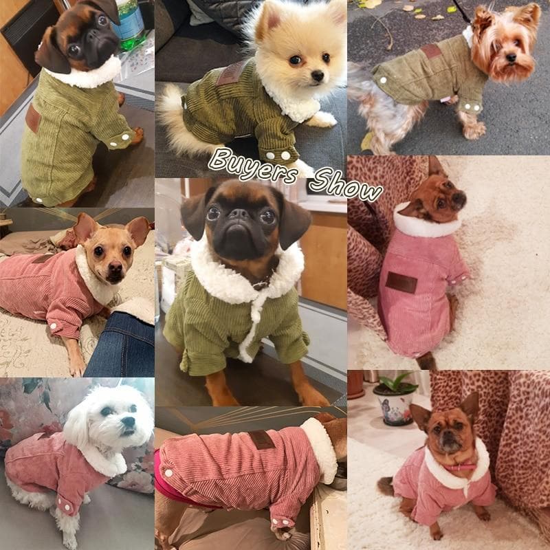 Pink Winter Corduroy Coat - Chihuahua We Love