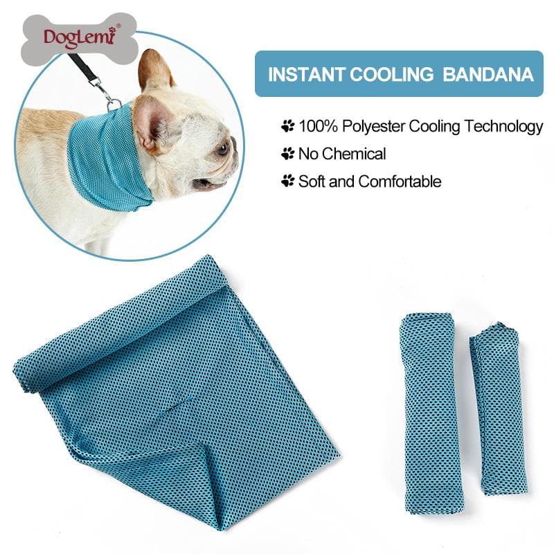 Instant Ice Chihuahua Cooling Bandana - Chihuahua We Love