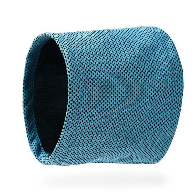 Instant Ice Chihuahua Cooling Bandana - Chihuahua We Love