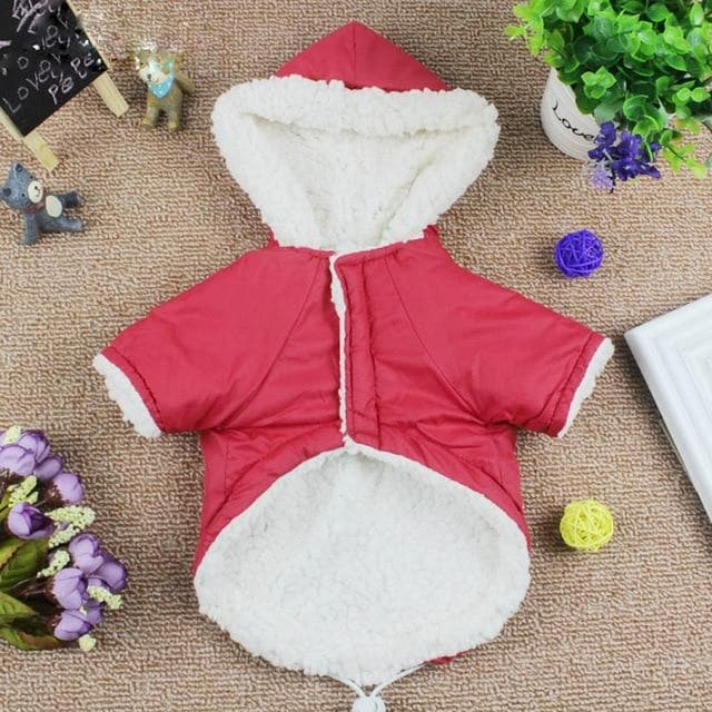 Winter Dog Parka - Chihuahua We Love