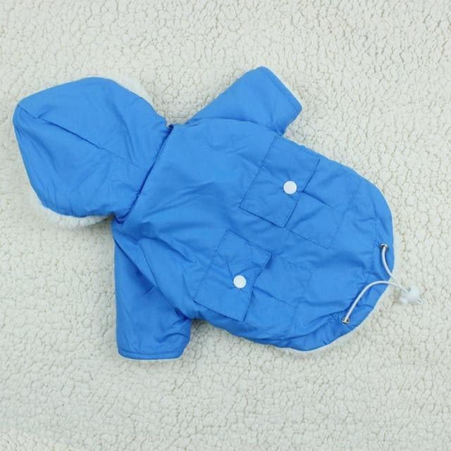 Winter Dog Parka - Chihuahua We Love