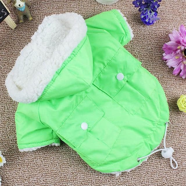 Winter Dog Parka - Chihuahua We Love