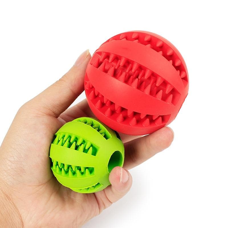 Chihuahua Bite Resistant Chew Toy - Chihuahua We Love