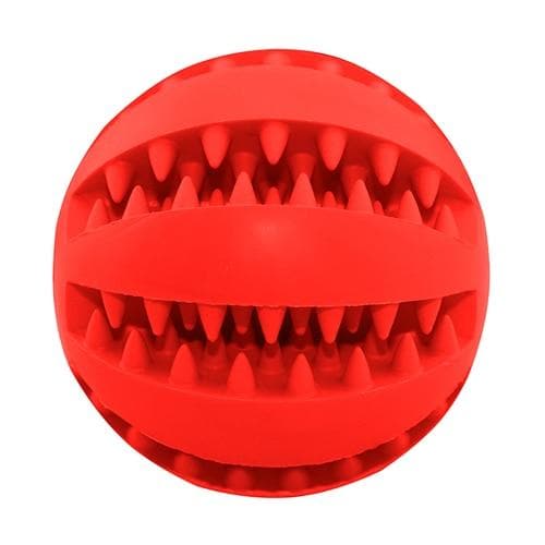 Chihuahua Bite Resistant Chew Toy - Chihuahua We Love
