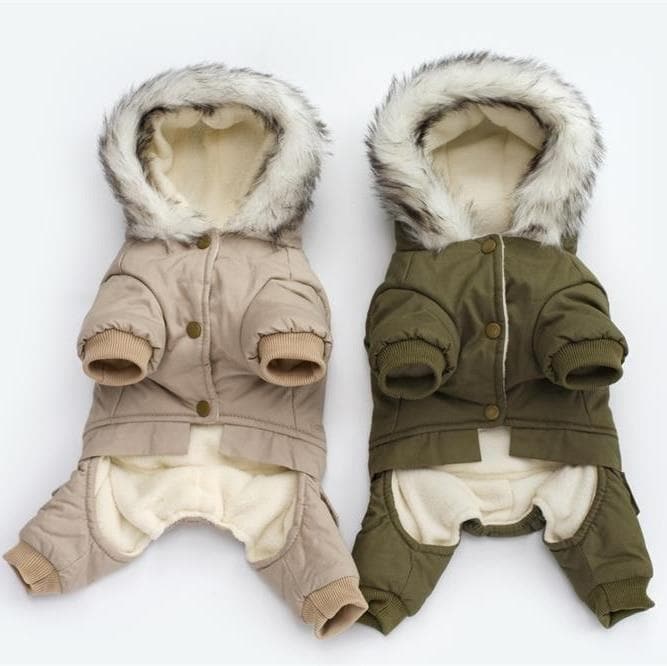 Warm Chihuahua Jacket - Chihuahua We Love