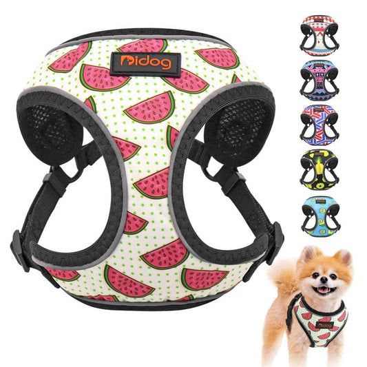 Nylon Reflective Summer inspired Harness - Chihuahua We Love