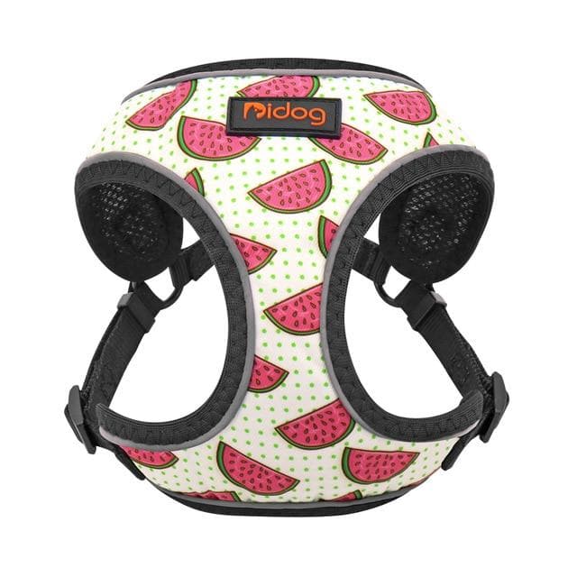 Nylon Reflective Summer inspired Harness - Chihuahua We Love