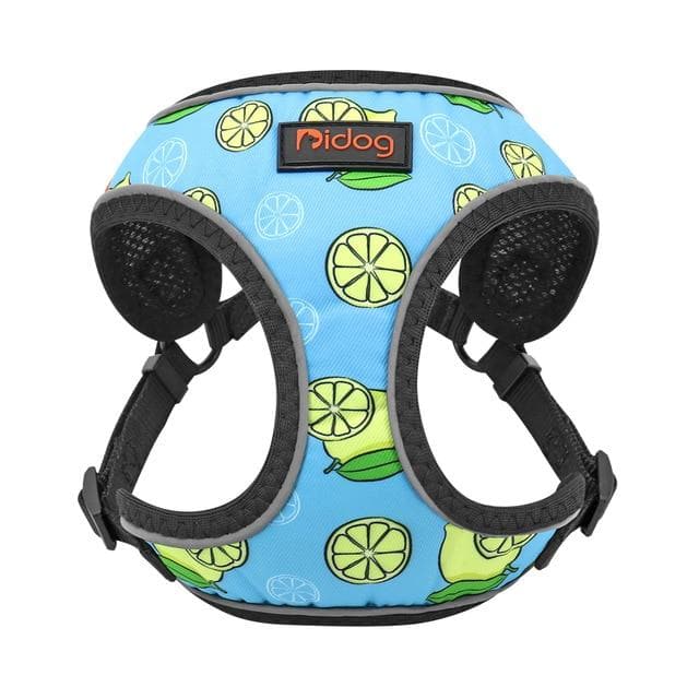 Nylon Reflective Summer inspired Harness - Chihuahua We Love
