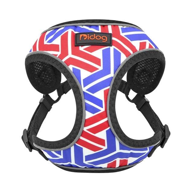 Nylon Reflective Summer inspired Harness - Chihuahua We Love