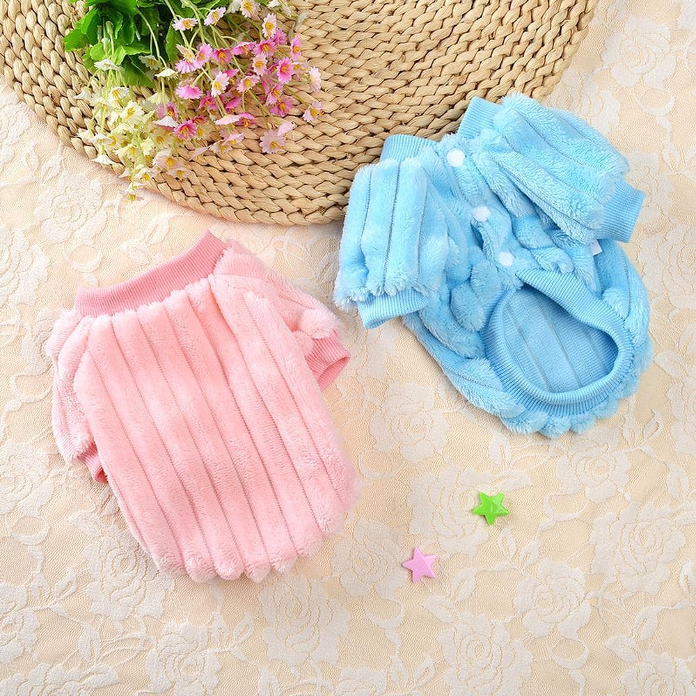 Warm Blue/Pink Winter Sweatshirt - Chihuahua We Love