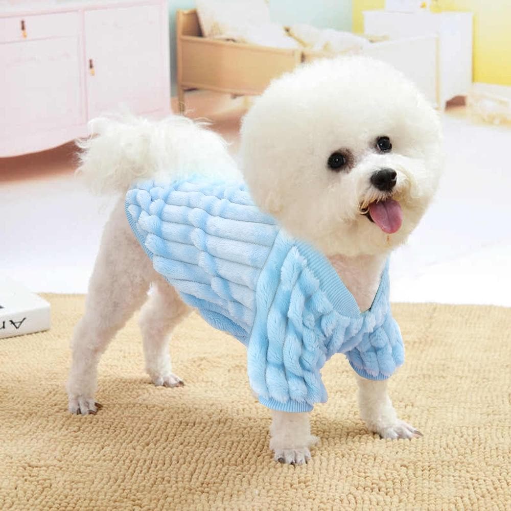 Warm Blue/Pink Winter Sweatshirt - Chihuahua We Love