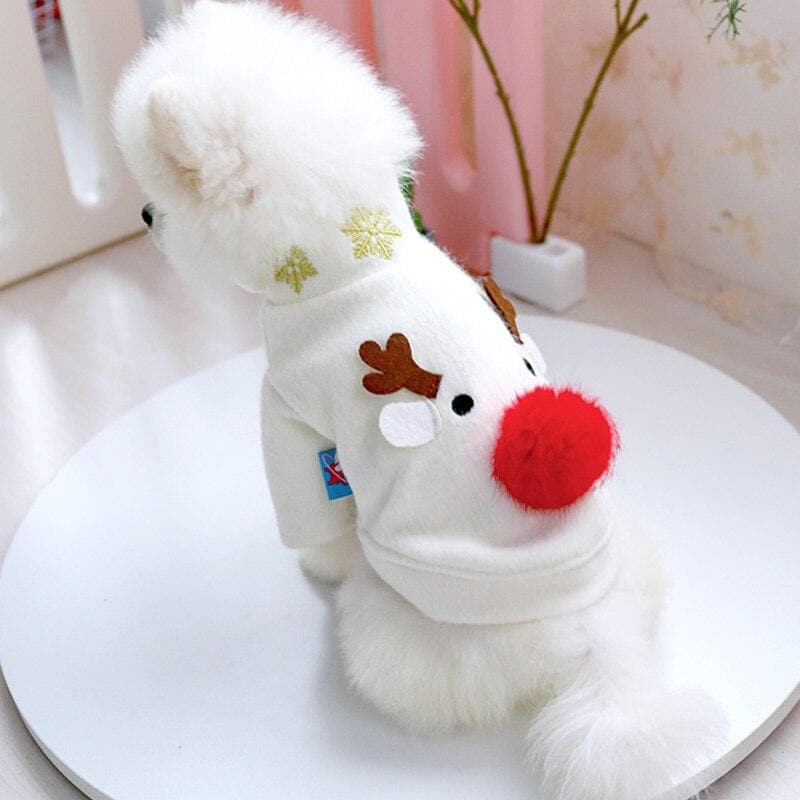 Woolen Chihuahua Christmas Sweater - Chihuahua We Love