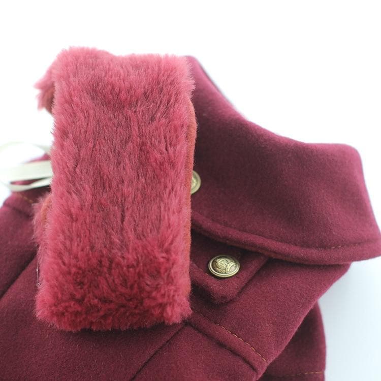 Warm Winter Dog Jacket - Chihuahua We Love
