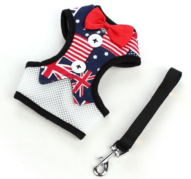 Elegant Bowtie Harness and Leash Set - Chihuahua We Love