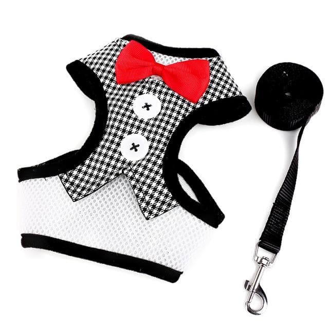 Elegant Bowtie Harness and Leash Set - Chihuahua We Love