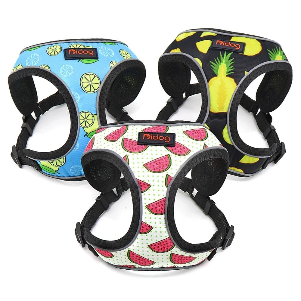 Nylon Reflective Summer inspired Harness - Chihuahua We Love