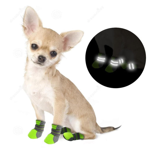 Outdoor Waterproof Reflective Boots - Chihuahua We Love