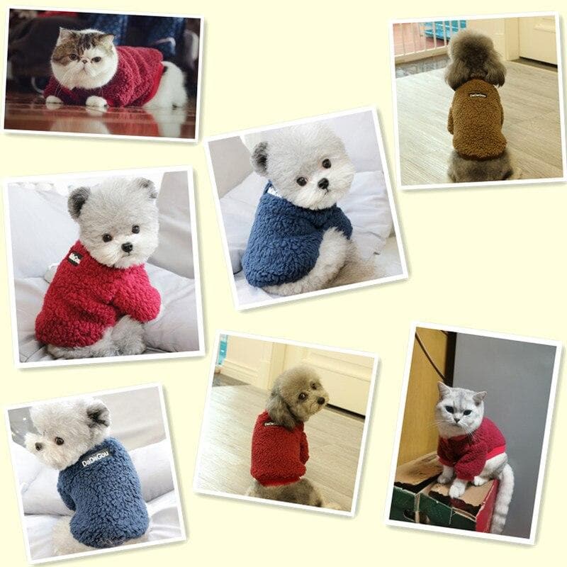 Winter Fleece Coat - Chihuahua We Love