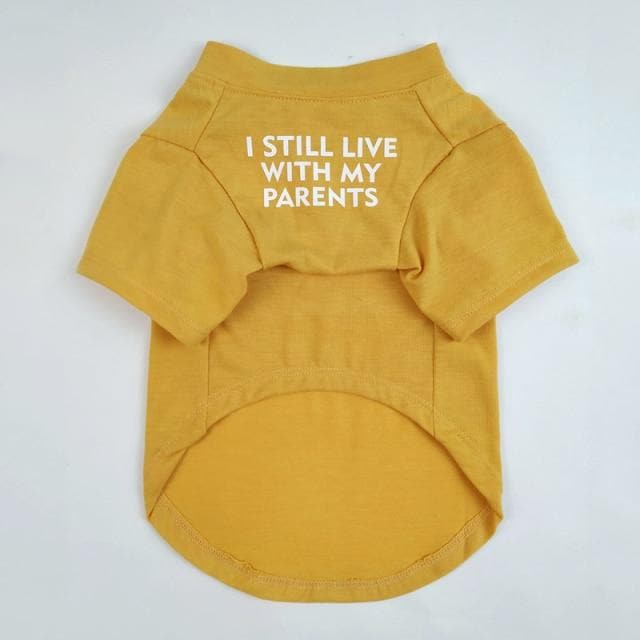 "I still live with my parents" T-shirt - Chihuahua We Love