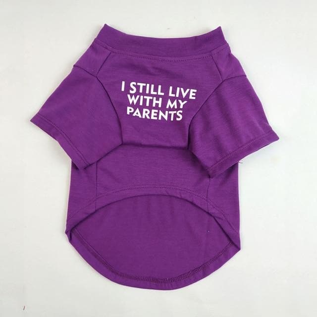 "I still live with my parents" T-shirt - Chihuahua We Love