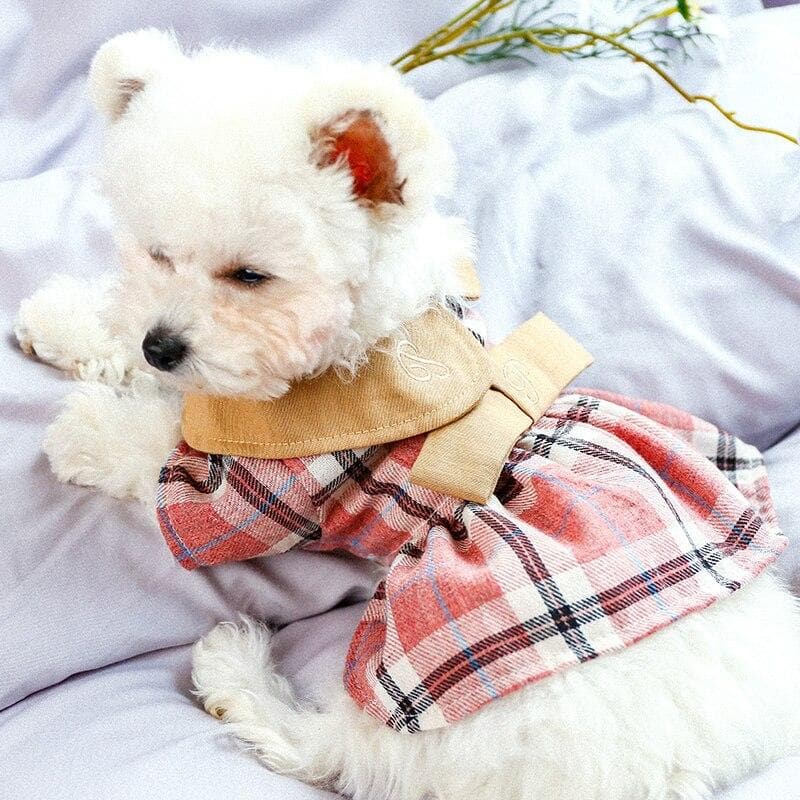 Embroidered Plaid Princess Dress - Chihuahua We Love