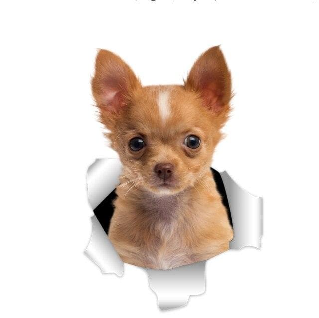 3D Chihuahua Sticker - Chihuahua We Love