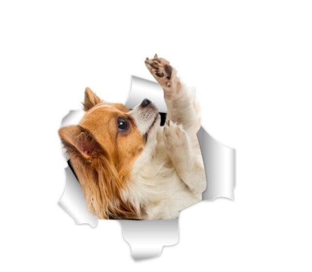 3D Chihuahua Sticker - Chihuahua We Love