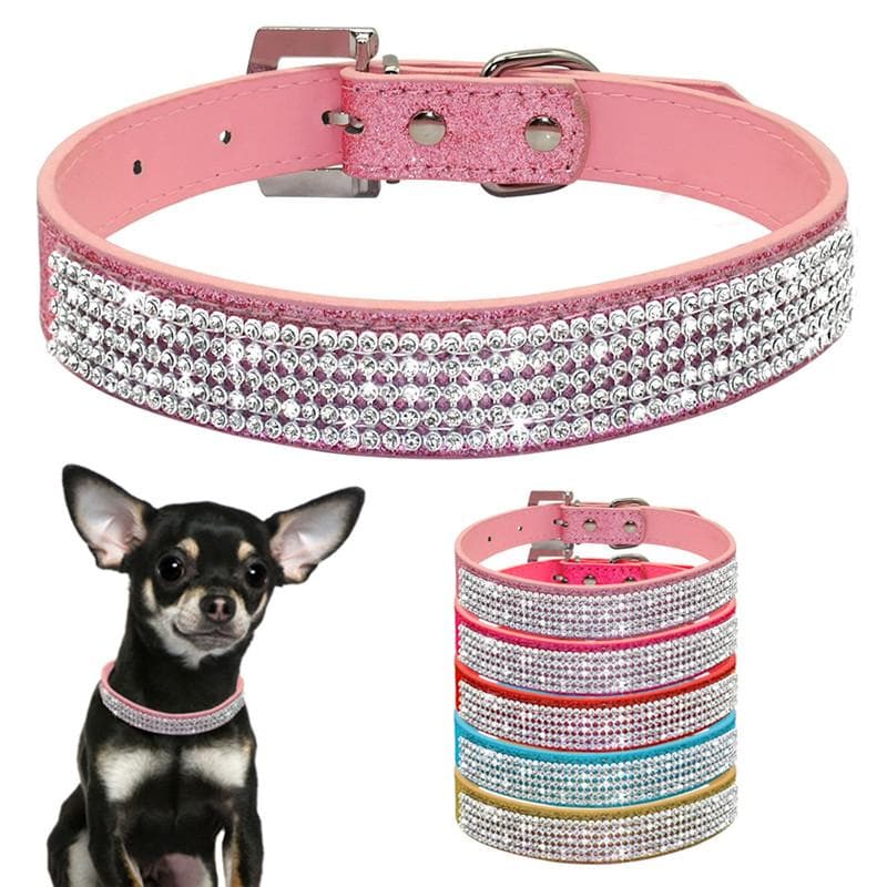 Rhinestone Collar - Chihuahua We Love