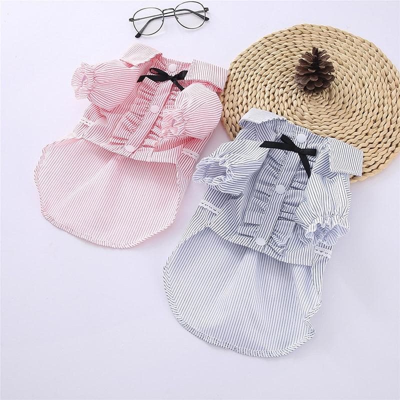 Chihuahua Summer Dress - Chihuahua We Love