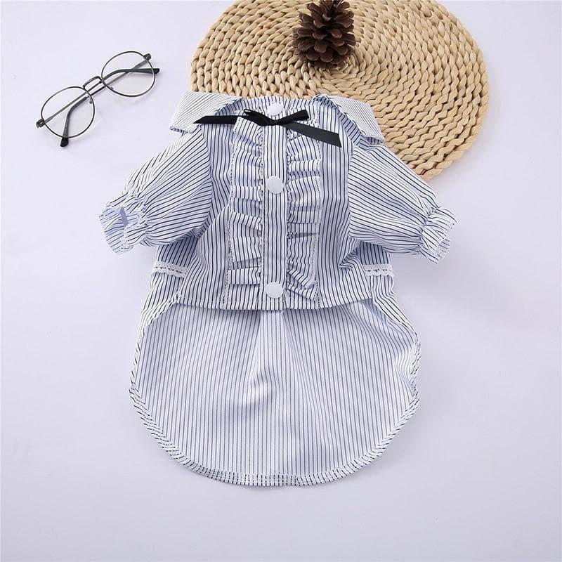 Chihuahua Summer Dress - Chihuahua We Love