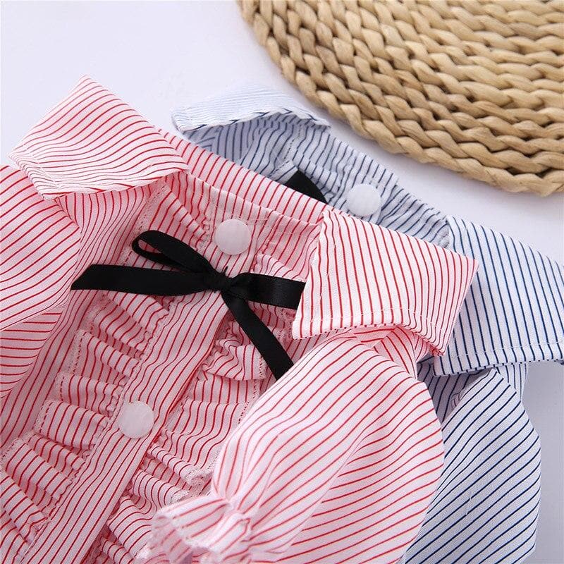 Chihuahua Summer Dress - Chihuahua We Love